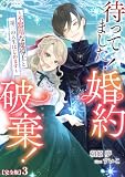 待ってました!婚約破棄!~不器用な魔導士と第二の人生はじめます~【完全版】3 (アマゾナイトノベルズ)