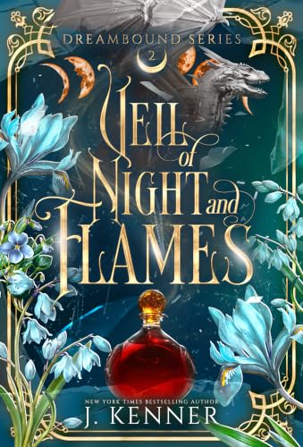 Veil of Night & Flames book cover
