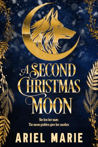 A Second Christmas Moon book cover