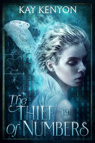 The Thief of Numbers book cover