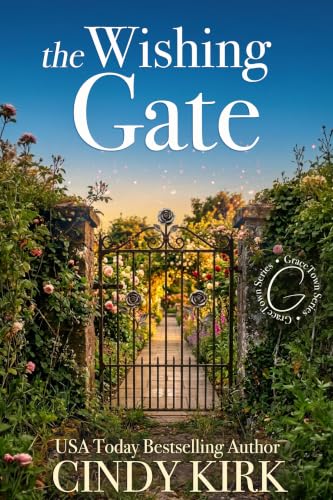 The Wishing Gate book cover