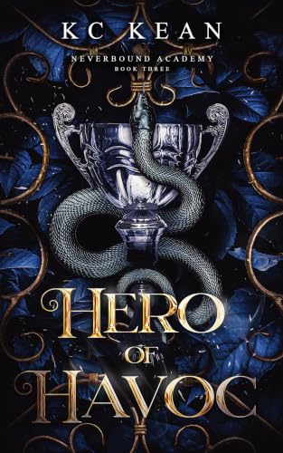 Hero of Havoc book cover