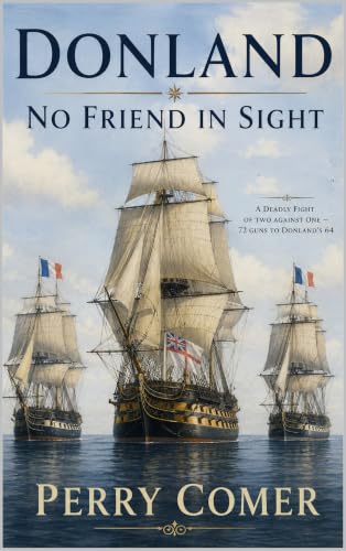 No Friend in Sight book cover