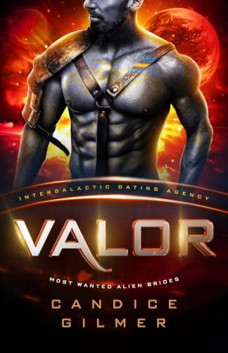 Valor book cover