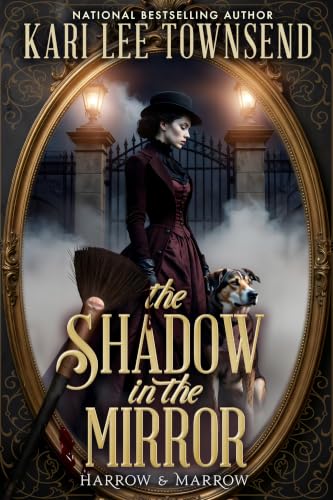 The Shadow in the Mirror book cover