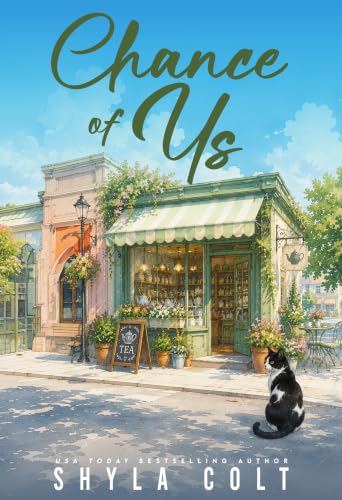 Chance of Us book cover
