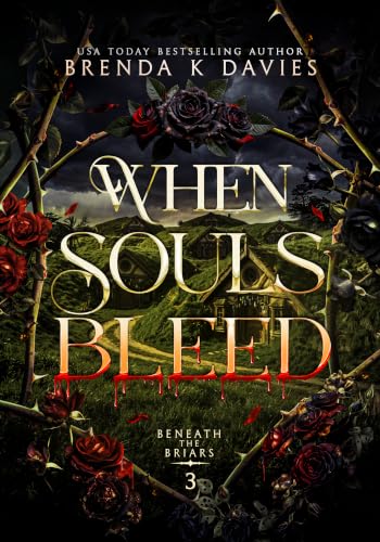 When Souls Bleed book cover