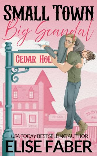 Small Town, Big Scandal book cover