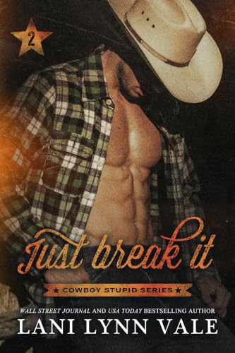 Just Break It book cover