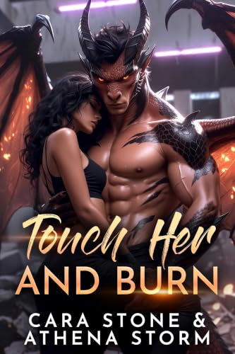 Touch Her and Burn book cover