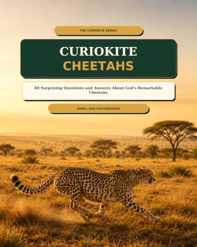 CurioKite Cheetahs book cover