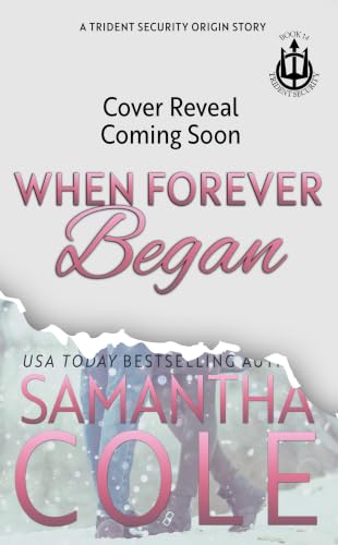 When Forever Began book cover