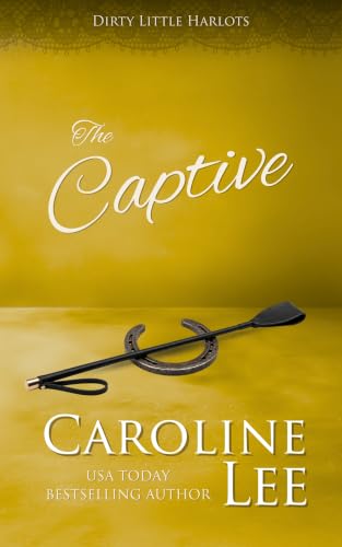 The Captive book cover
