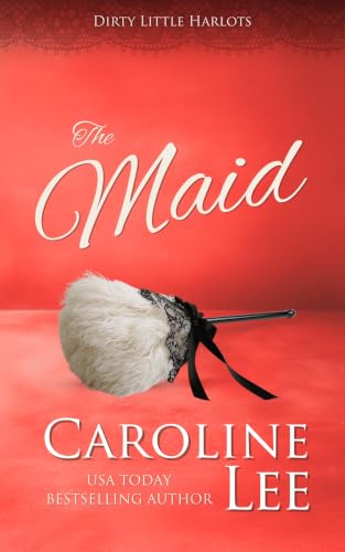 The Maid book cover