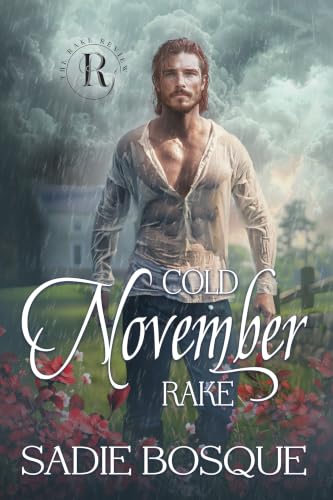 Cold November Rake book cover