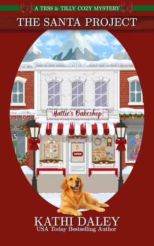 The Santa Project book cover