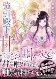 強引殿下の甘すぎる囲い込み~王太子妃になるなんて聞いてません!~ (ヴァニラ文庫)