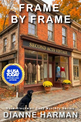 Frame by Frame book cover