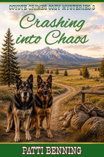 Crashing Into Chaos book cover