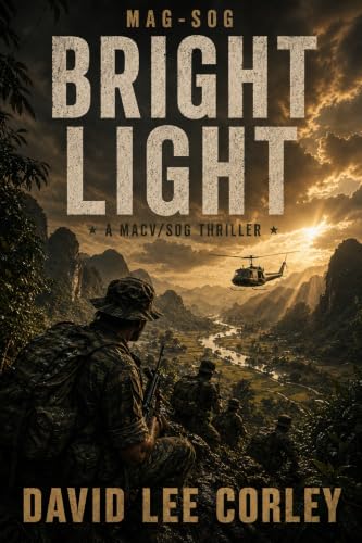 Bright Light book cover