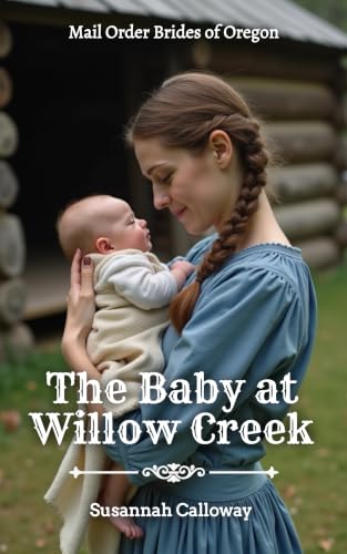The Baby at Willow Creek book cover