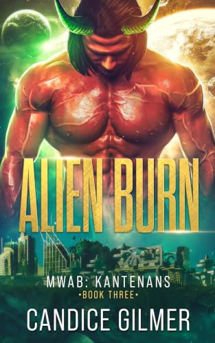 Alien Burn book cover