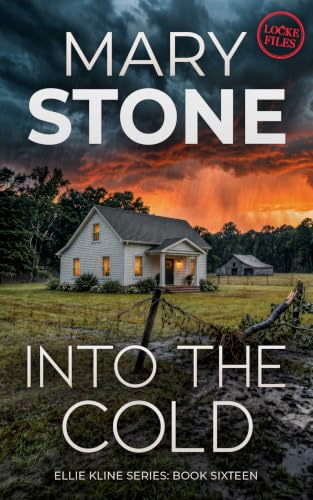Into the Cold book cover