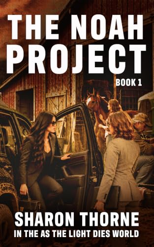 The Noah Project book cover