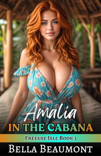 Amalia in the Cabana book cover