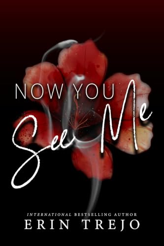 Now You See Me book cover