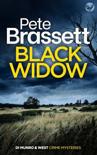 She / Black Widow book cover