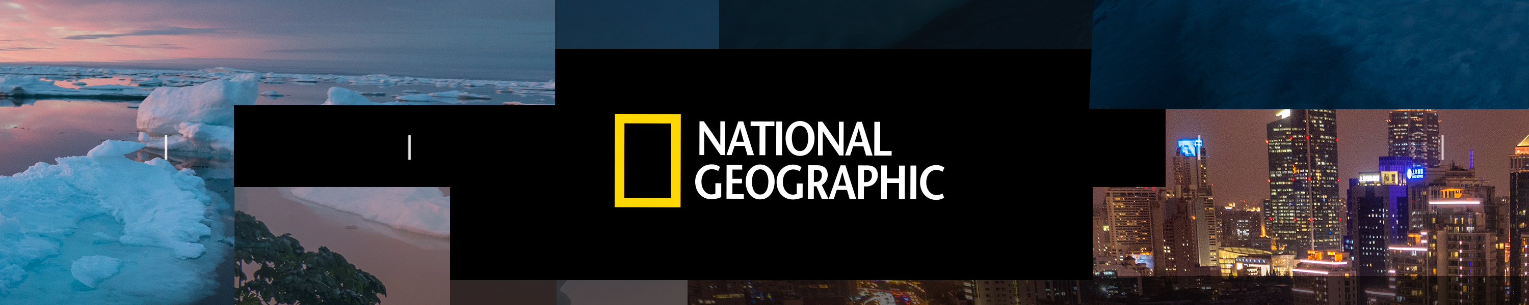 Amazon.co.uk National Geographic