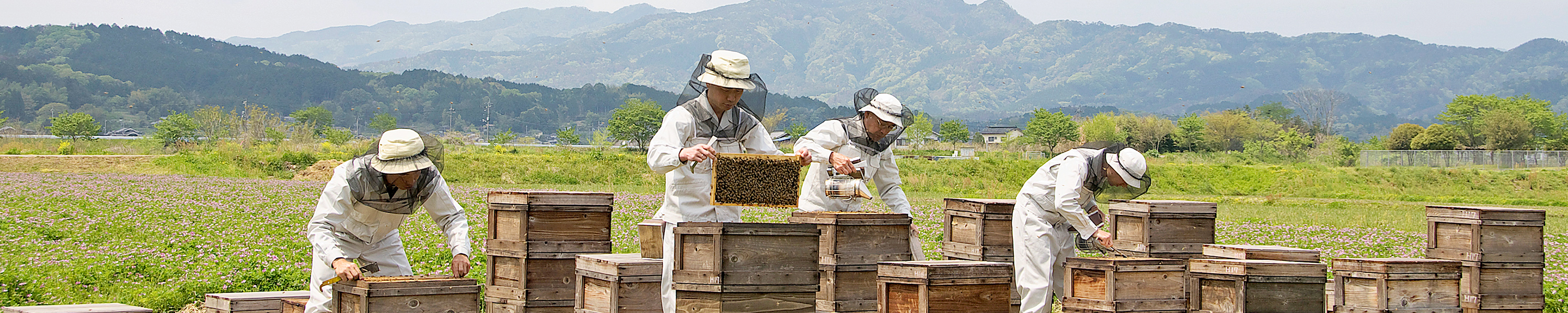 Amazon.co.jp: 山田養蜂場