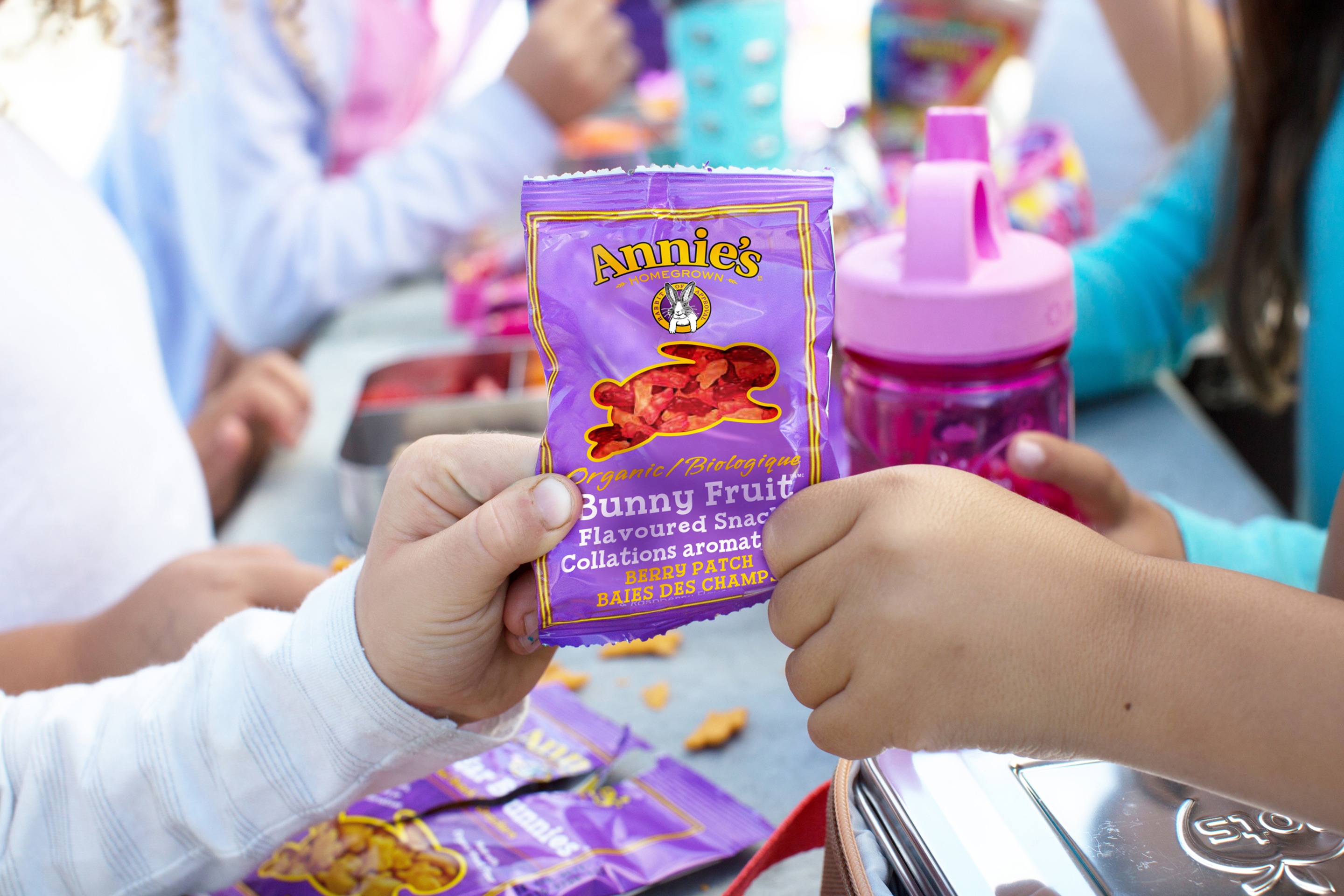 Amazon.ca There's A Snack for That Organic Fruit Snacks