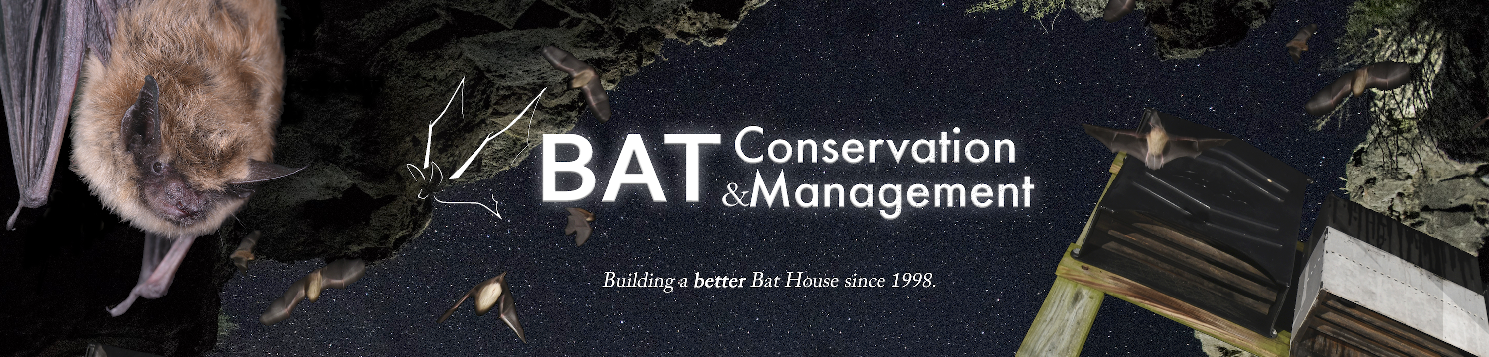 Bat Management Amazon.com: Bat Conservation and Management: Bat Detectors