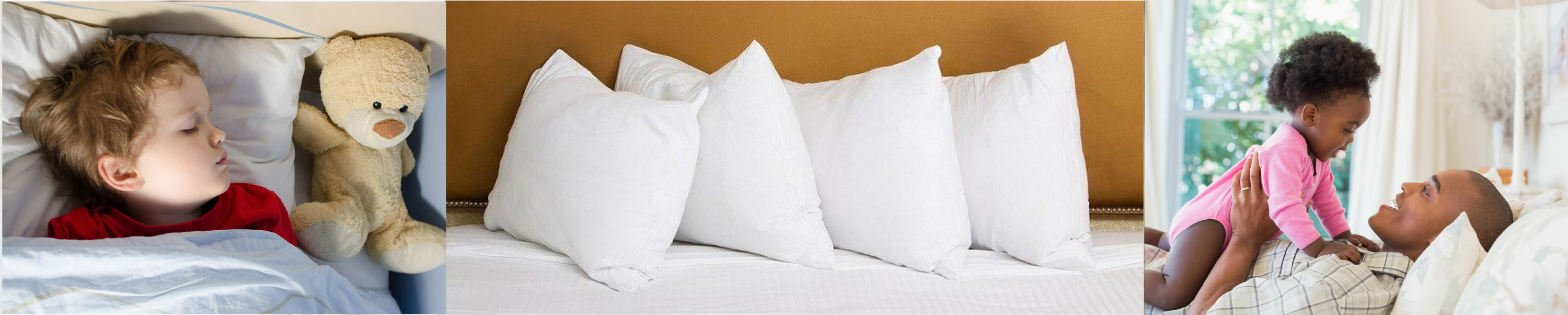 A Little Pillow Company