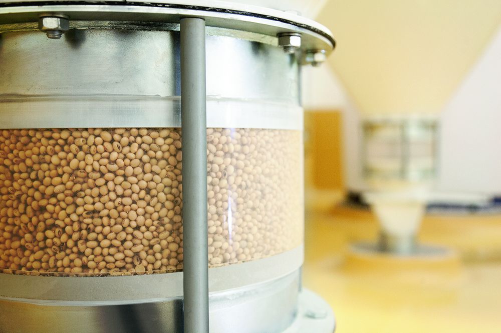 BUHLER Harvesting Season