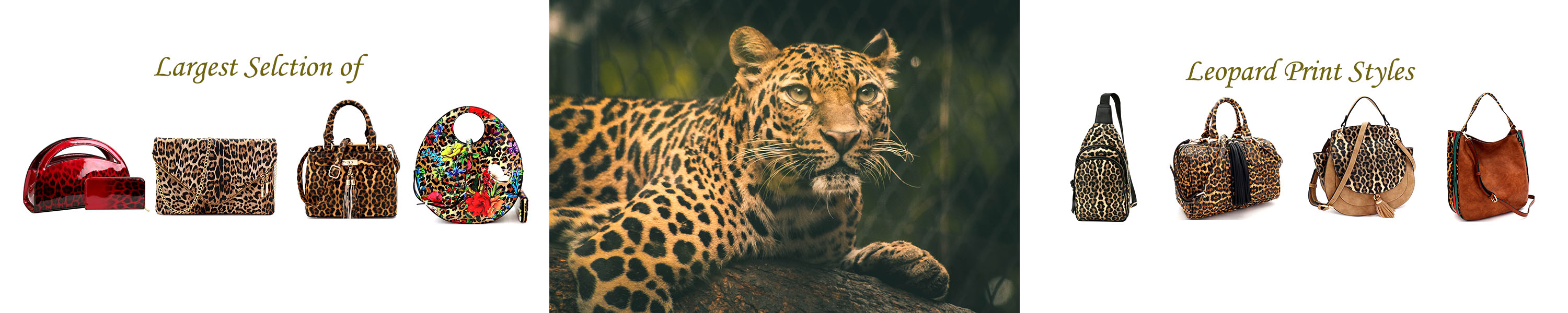 Amazon.com: Trendeology: Leopard Print Collection