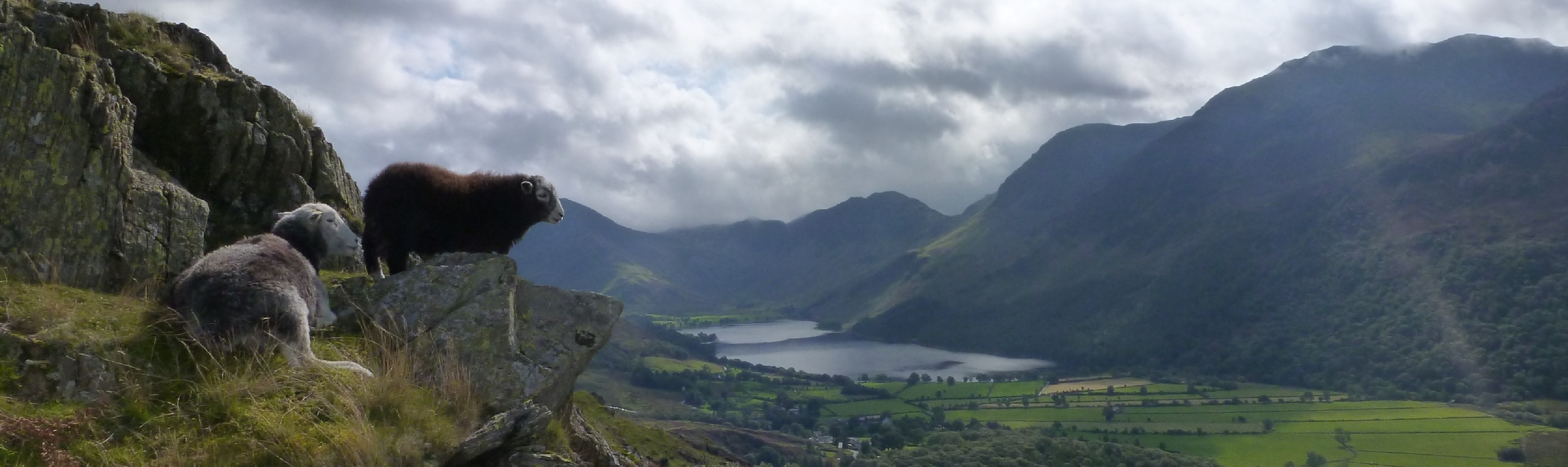 Amazon.co.uk Chimney Sheep
