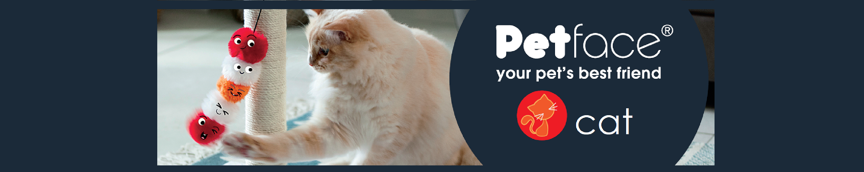 Amazon.co.uk Petface Cat hygiene and feeding accessories