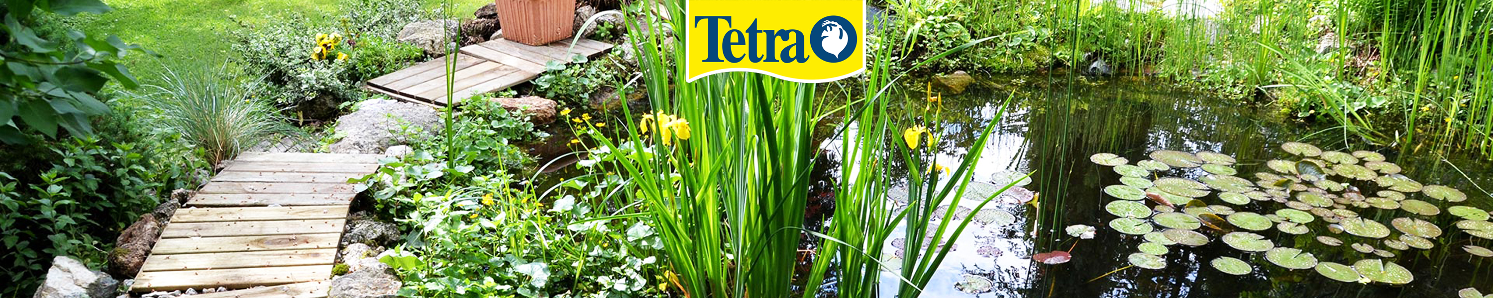 Amazon.de Tetra Gartenteich Frühling