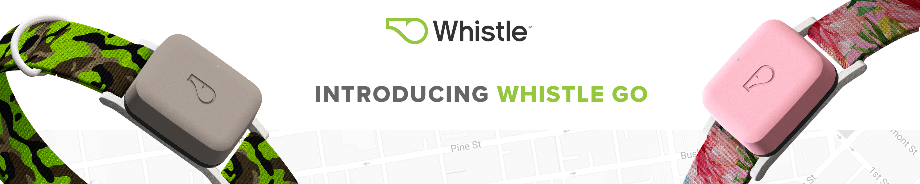 Amazon.ca Whistle