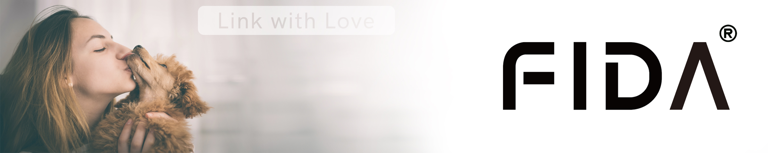 Amazon.ca A professional Pet Supplies