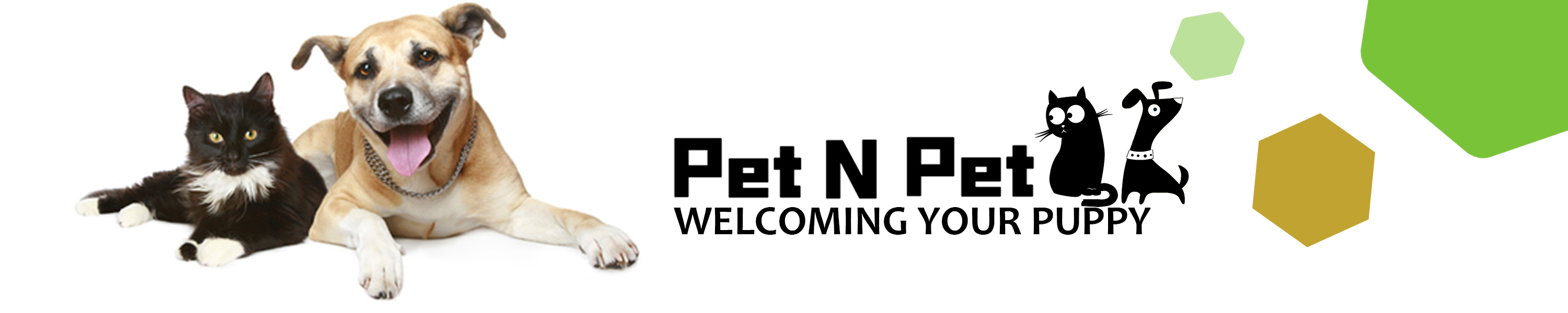 PET N PET