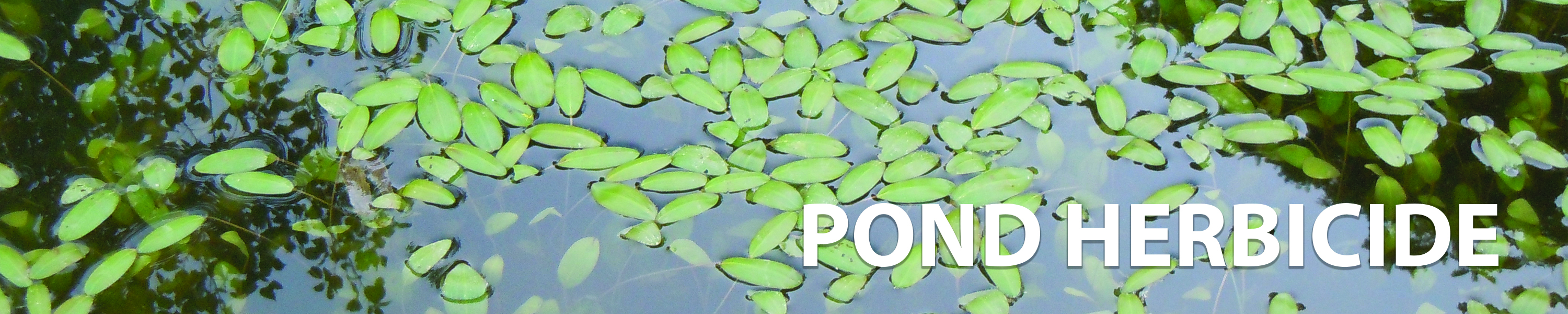 Crystal Blue Pond Weed Killer