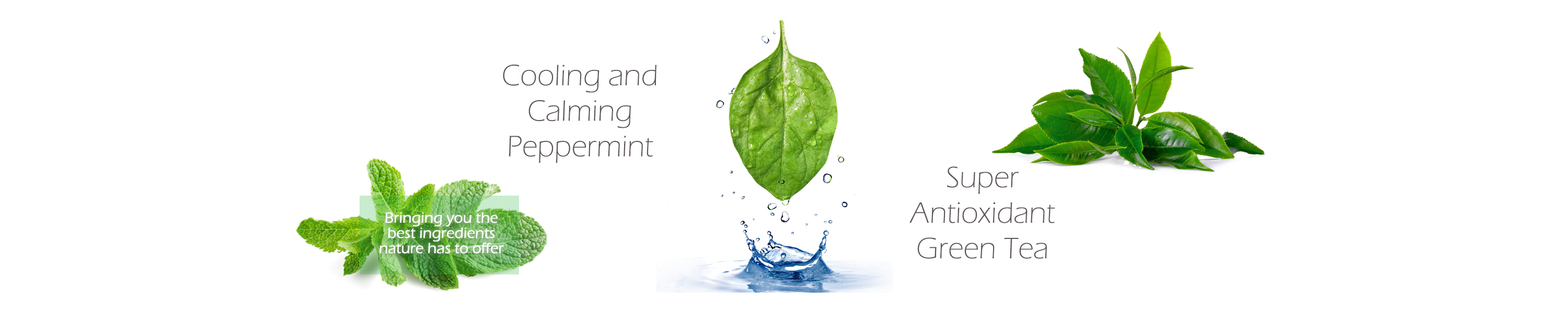 Tree of Life Beauty Ultimate Line