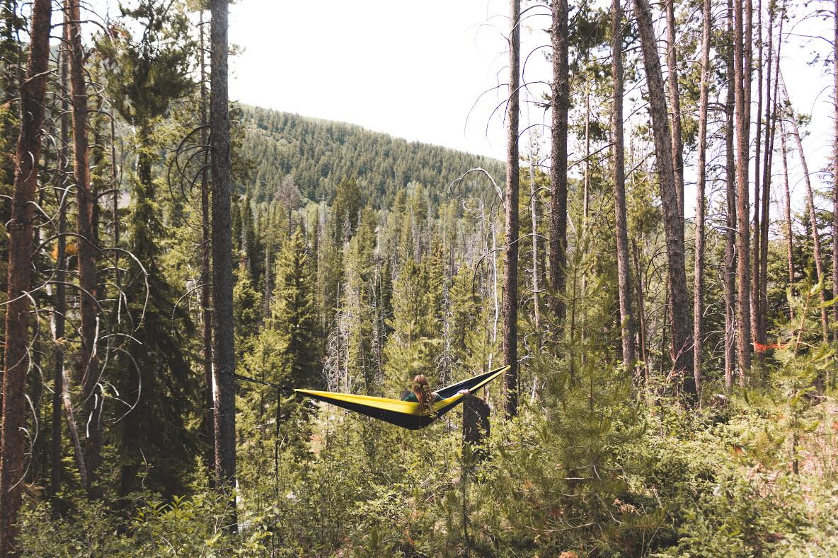 Flagstaff Outdoor Co.