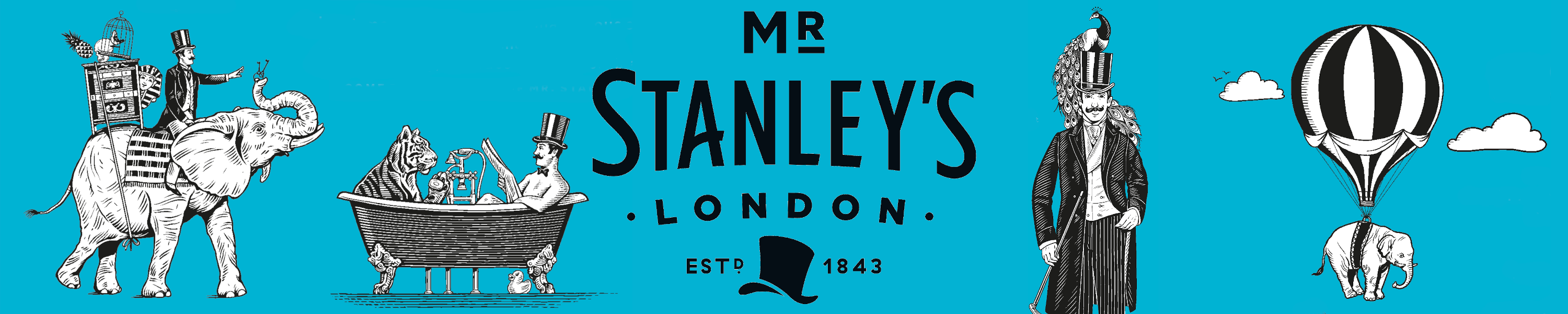 Amazon.co.uk: Mr Stanley's