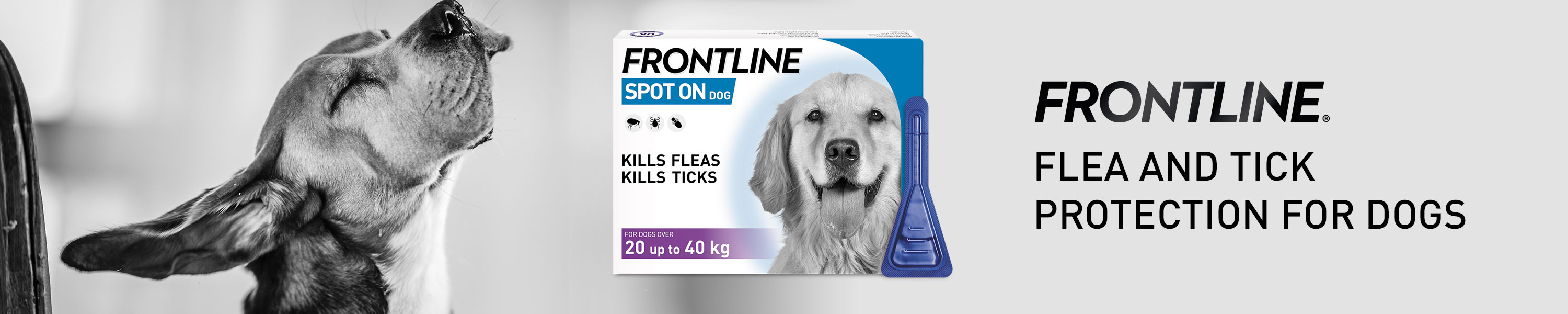 Amazon.co.uk FRONTLINE FOR DOGS