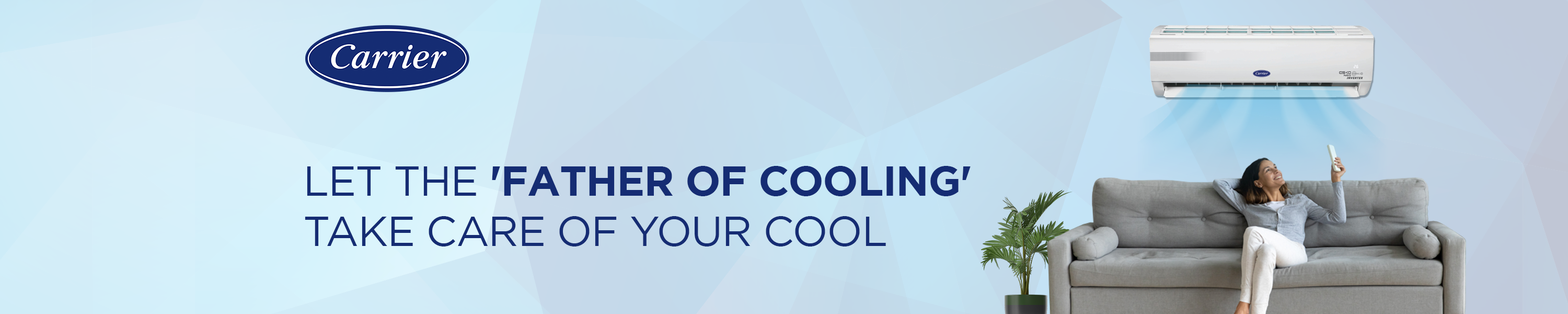 Amazon.in Carrier Air Conditioners